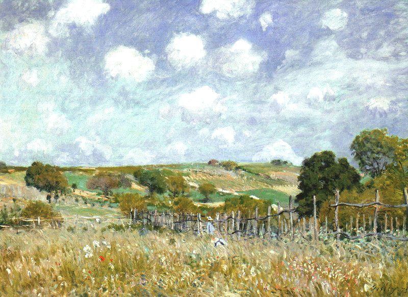 Alfred Sisley Meadow oil painting picture